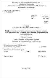 Колмаков П. Ю. Морфологическая.pdf.jpg