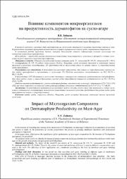 Эскиз