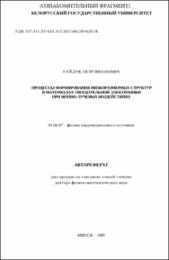 Гайдук П. И. Процессы формирования.pdf.jpg