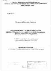 Каминская_СО.pdf.jpg