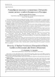 Эскиз