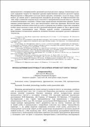 97-99.pdf.jpg