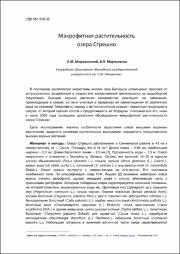 Эскиз
