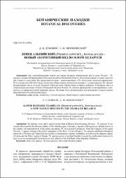 Дубовик, Д. В. Ленец альпийский.pdf.jpg