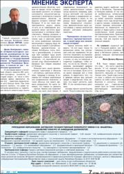 Мнение эксперта.pdf.jpg