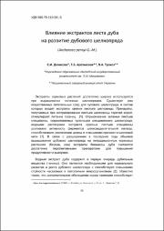 Эскиз