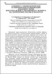 К вопросу о морфологическом и генетическом разнообразии дождевого червя.pdf.jpg