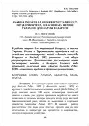 Anarsia innoxiella Gregersen et Karsholt.pdf.jpg